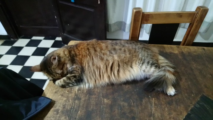 Kiki2