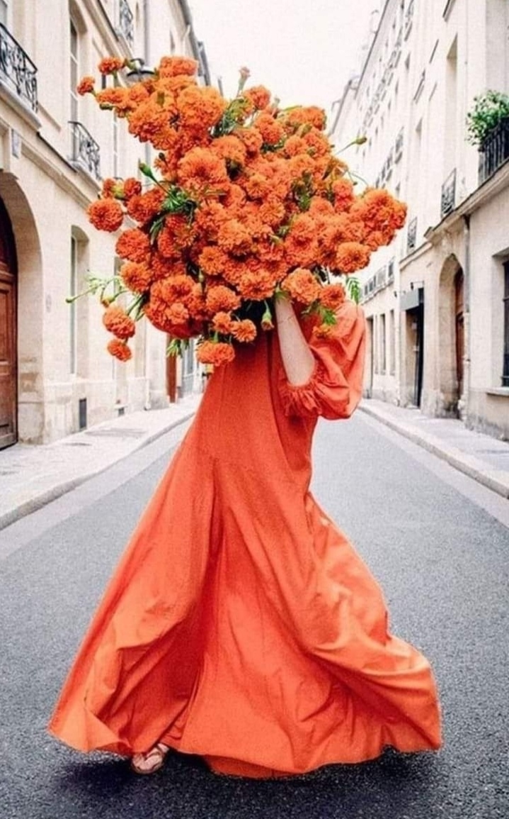 тапети red, petal