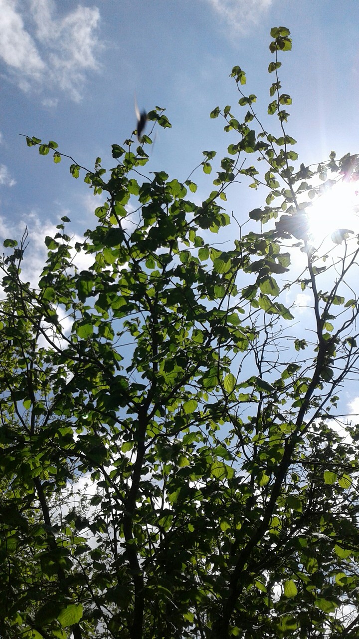 sun shining ❤