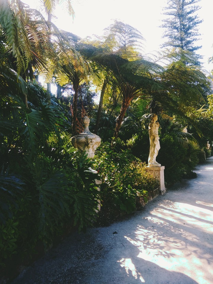tropical garden with sculptures