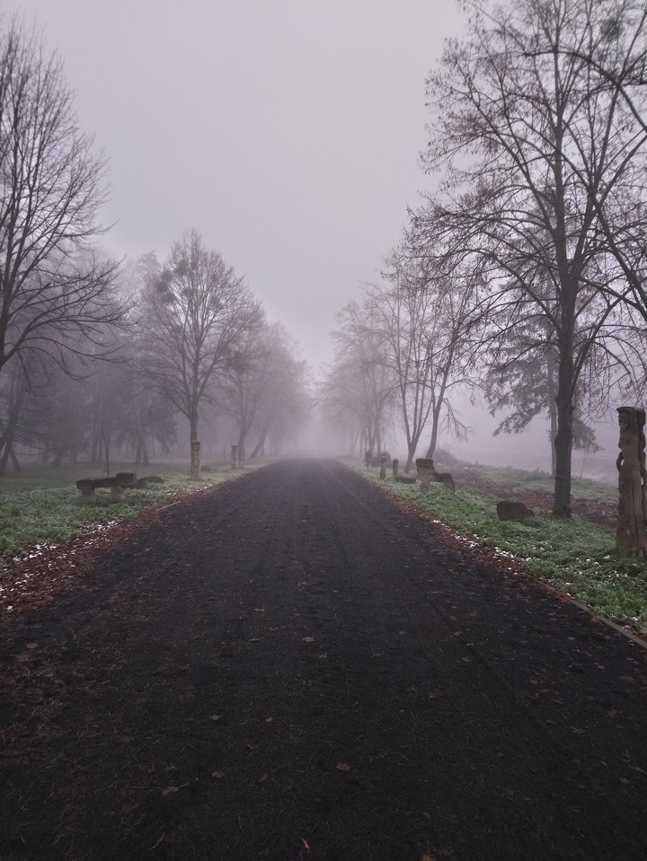 road in the fog