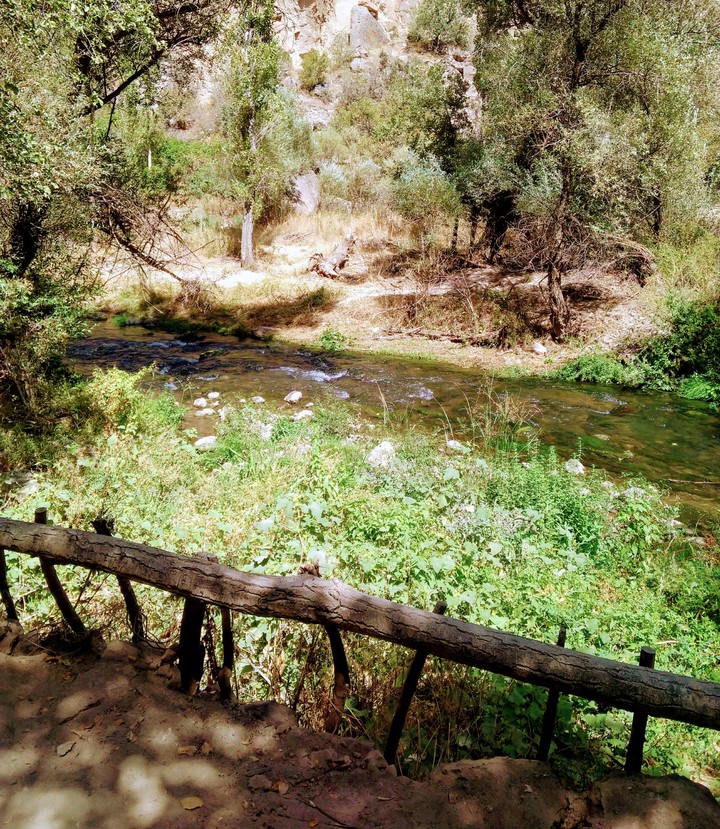 Nature