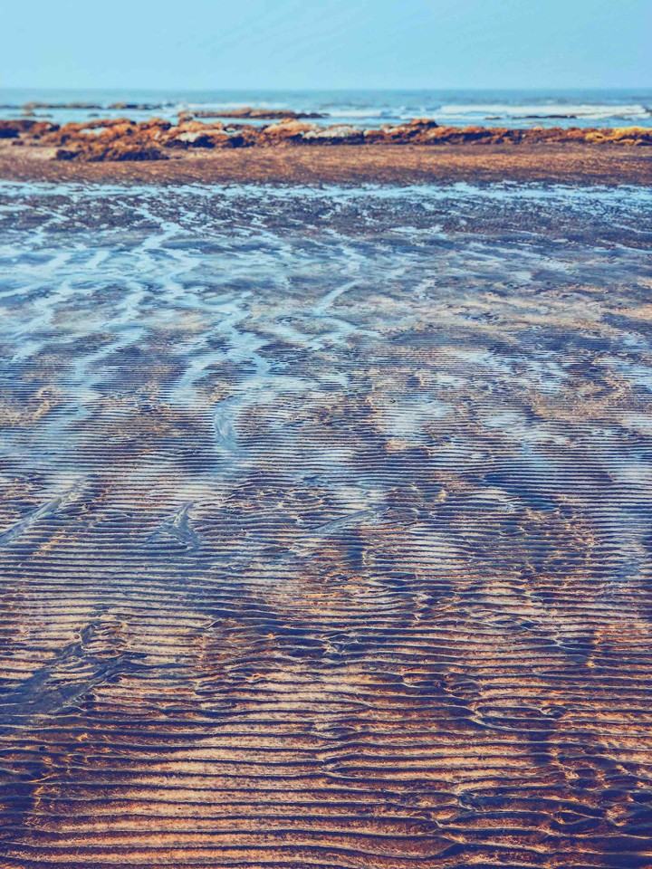 Beach life