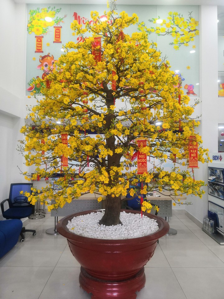 NEW YEAR 2021 IN VIET NAM