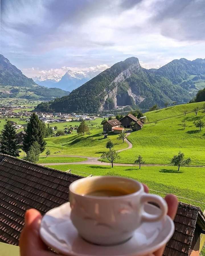 good morning