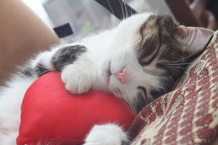sweet dreams ?