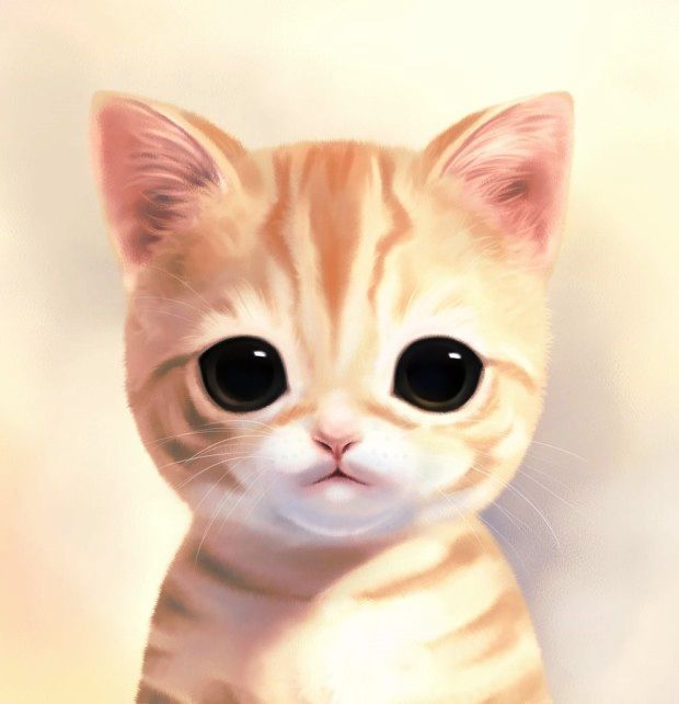 cat illustration