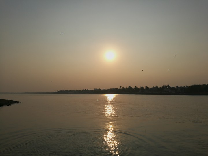 river godavari