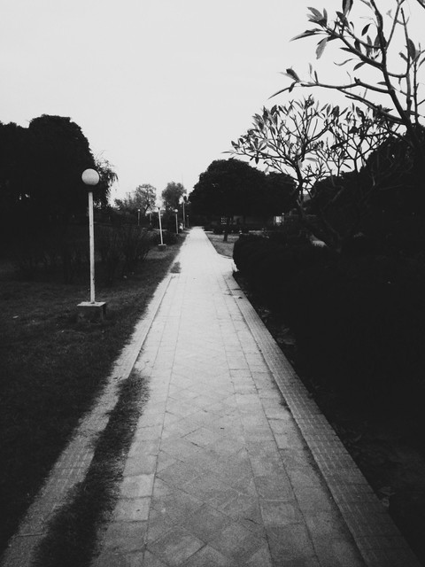 Park Walk