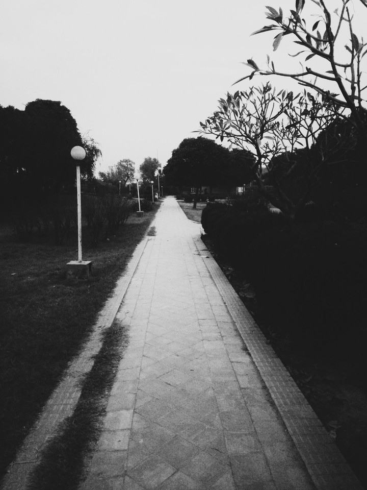 Park Walk