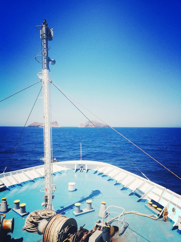 Sail little dream.