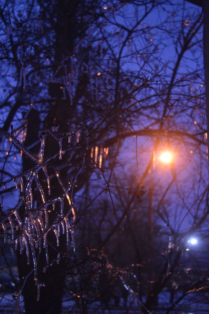 Wintry Charm