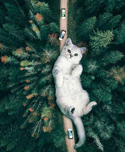 Amazing)