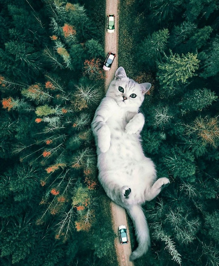 Amazing)