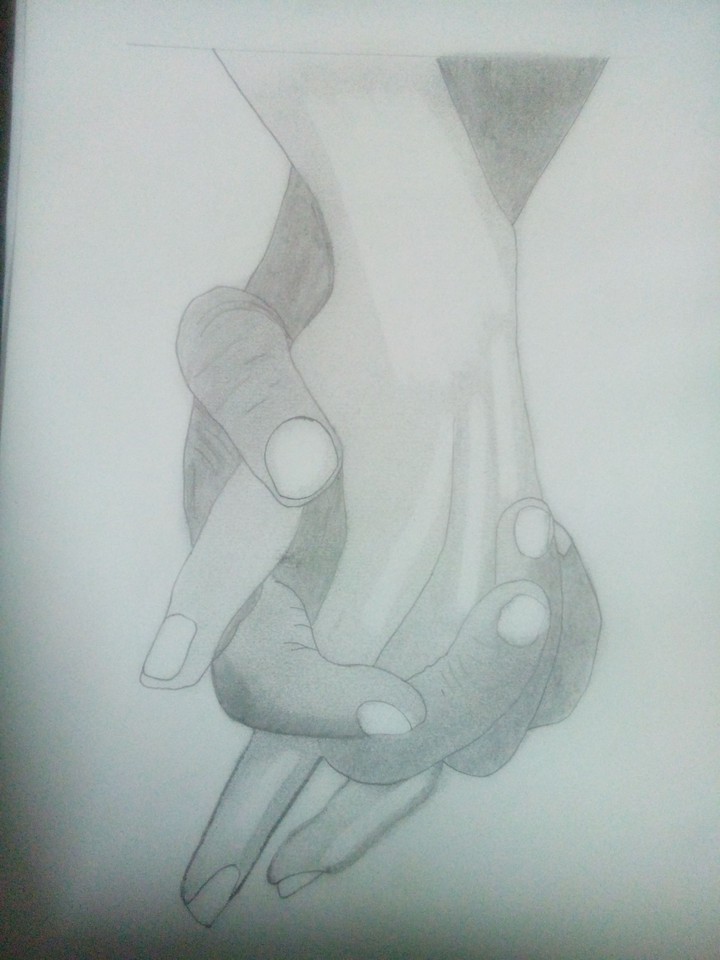 pencil sketch
