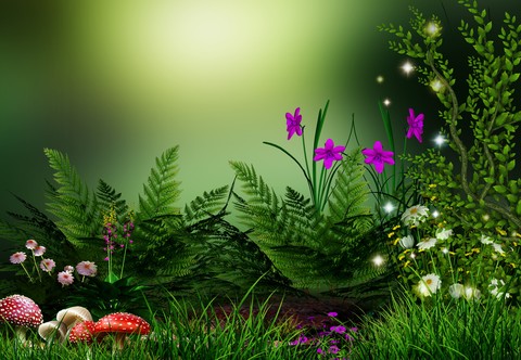 Mushrooms, ferns, flowers