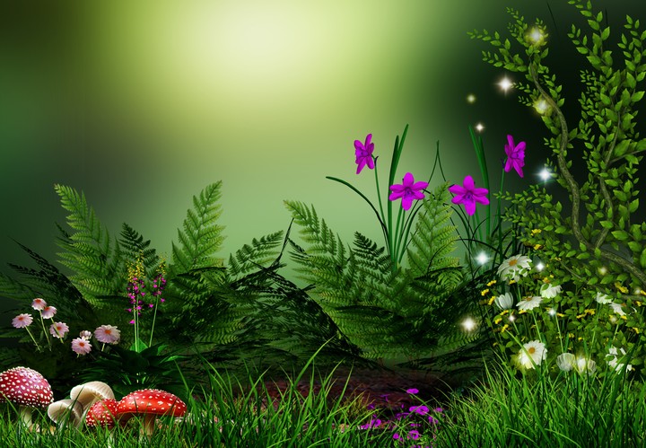 Mushrooms, ferns, flowers