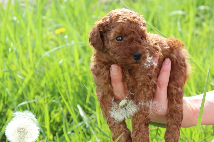 very cute...