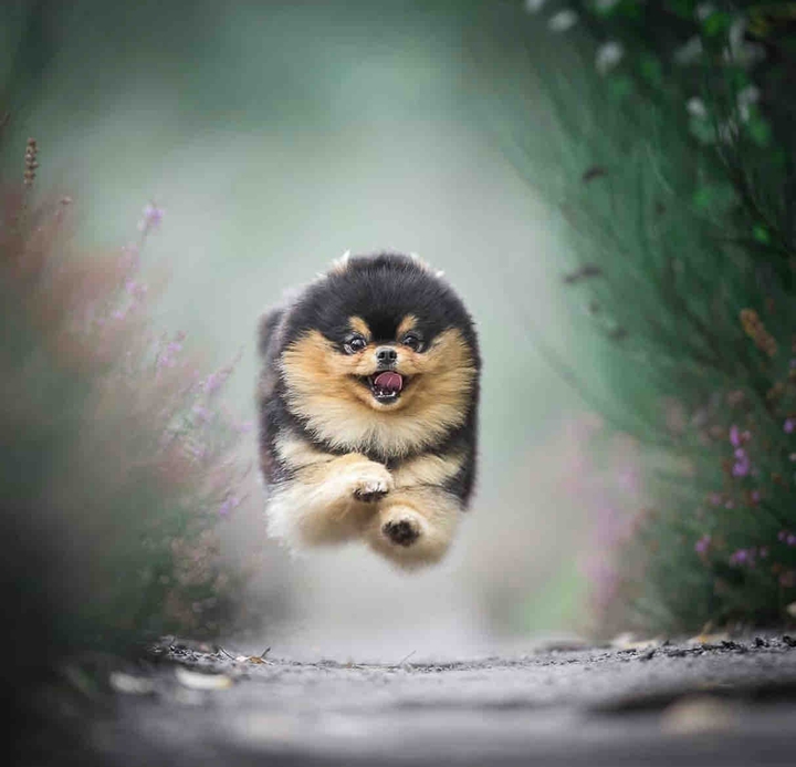 cute
