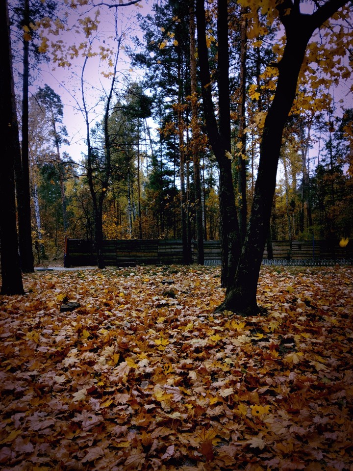 осень