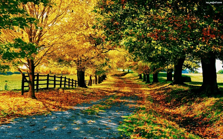 Nature