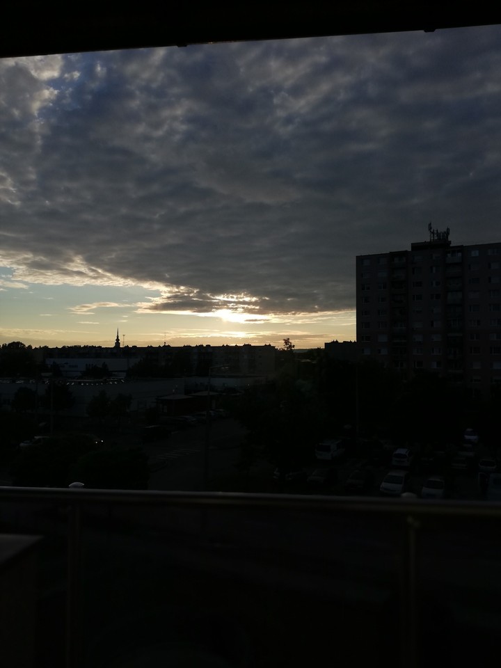 morning