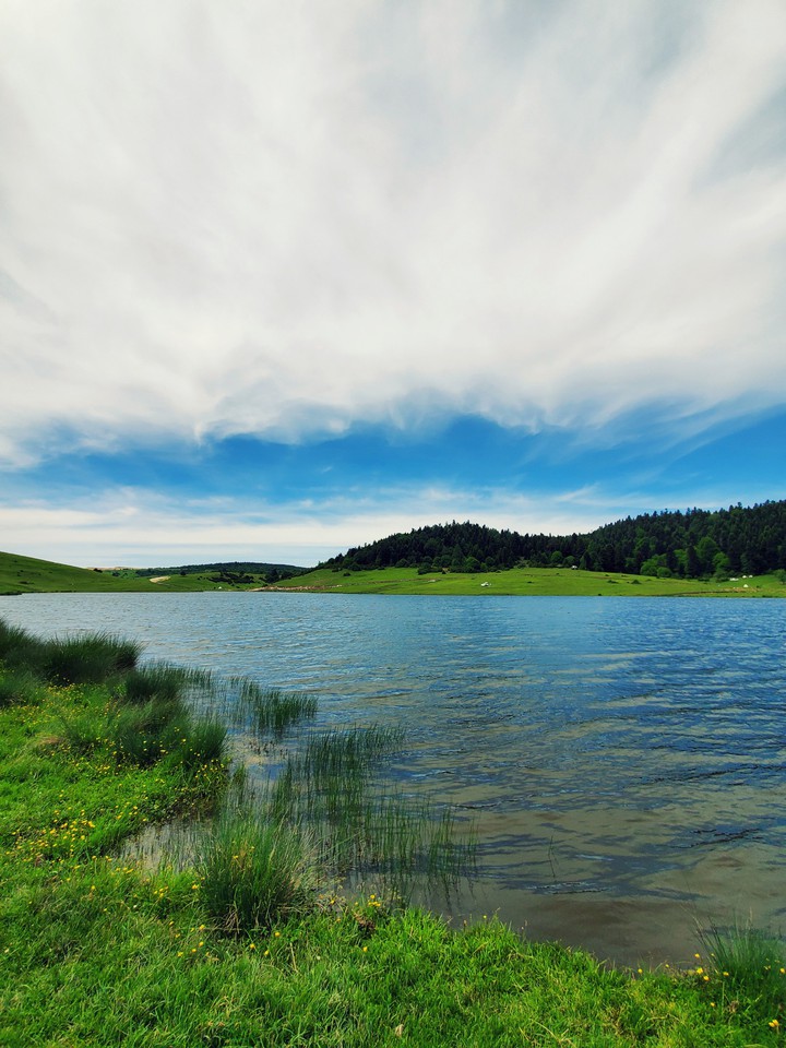 calming