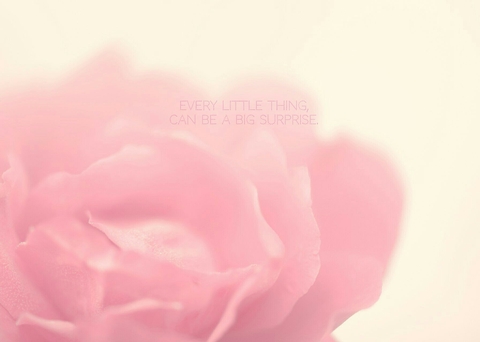 Little things