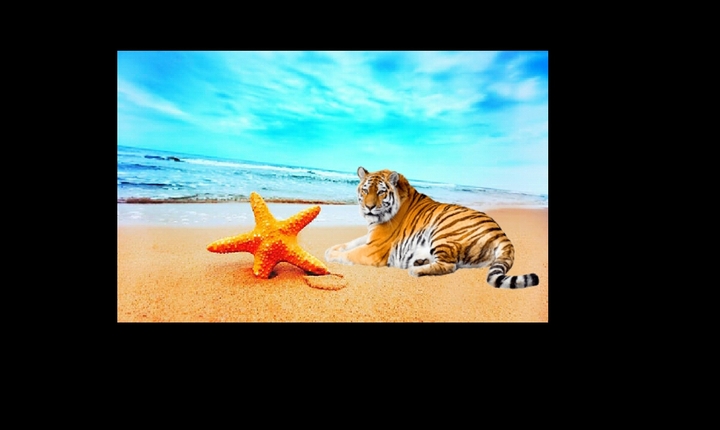 ...