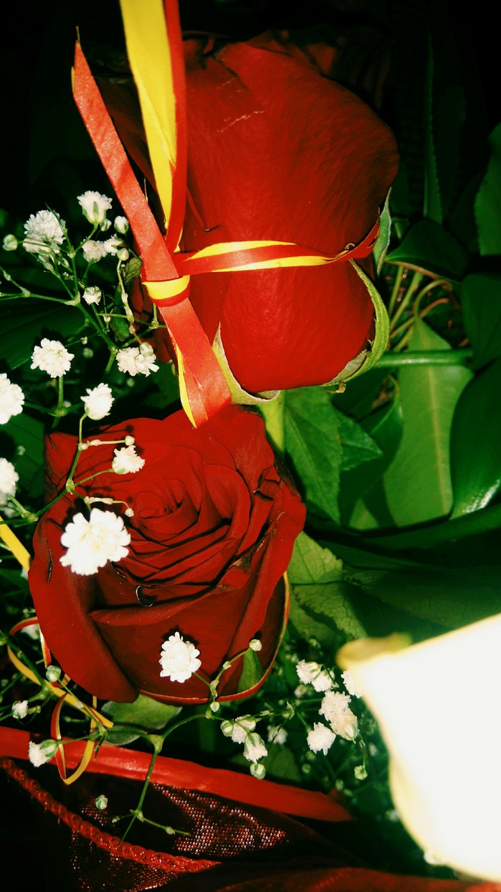 roses