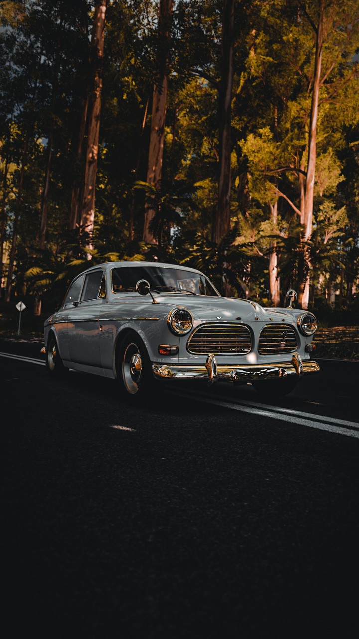 volvo
