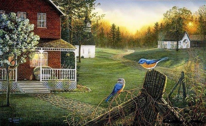 Beauté de la nature
