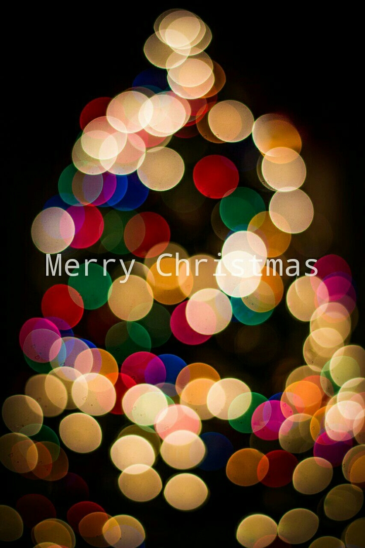 Merry Christmas