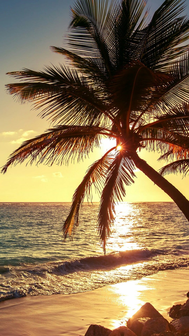 sunset at the beach