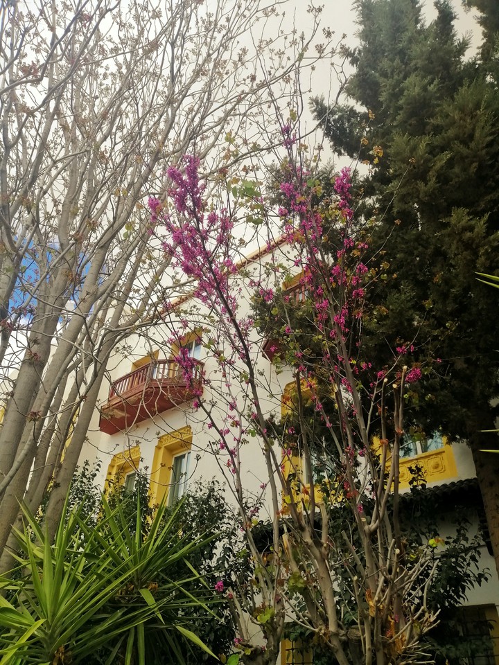 look up