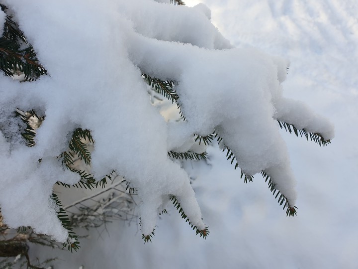 Snow