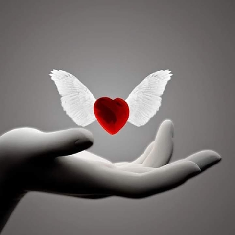 love_££££££