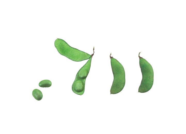 음식이미지
