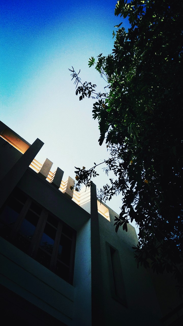 my home