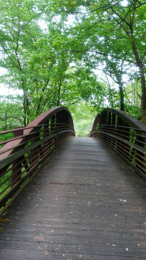 Over the Bridge and Far Away