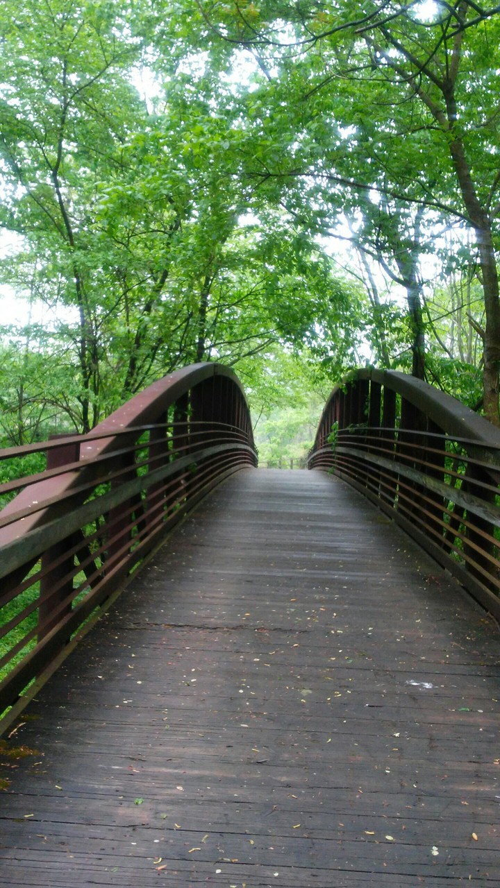 Over the Bridge and Far Away