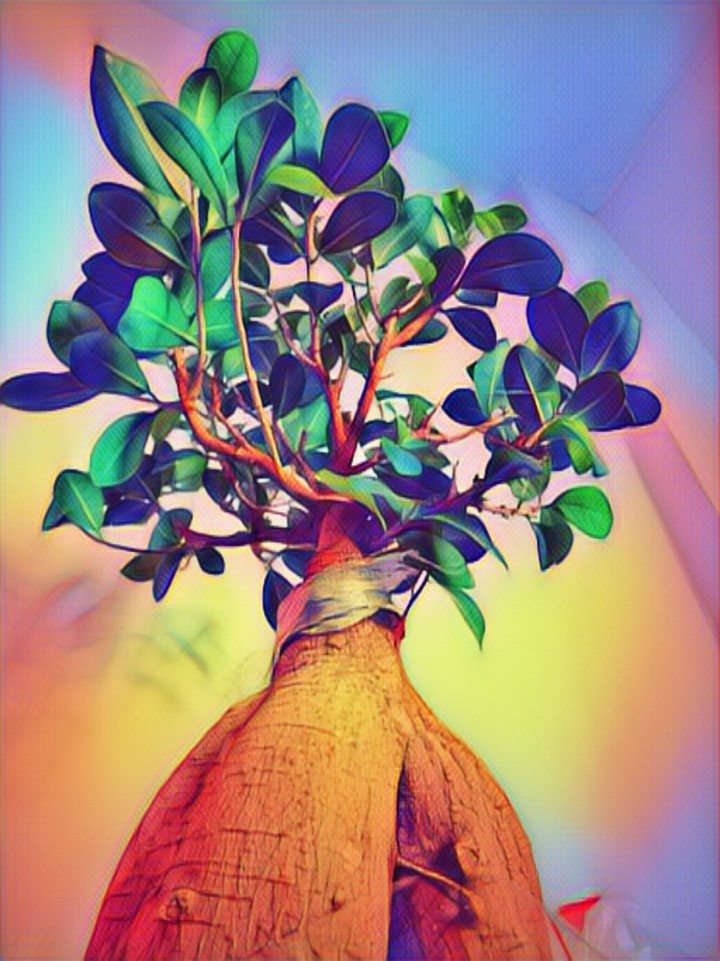 prosperity