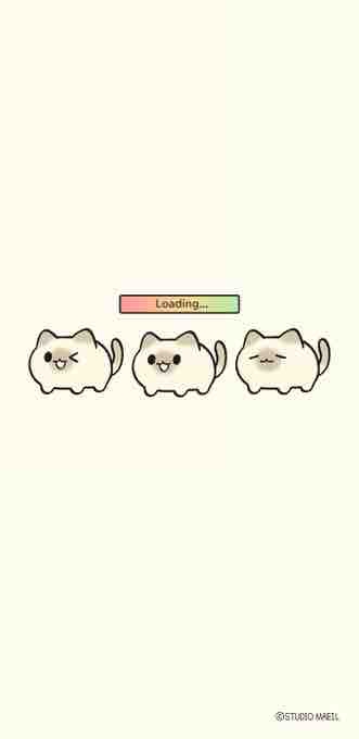 고양이