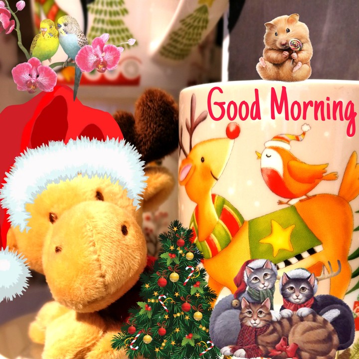 good Morning my friend