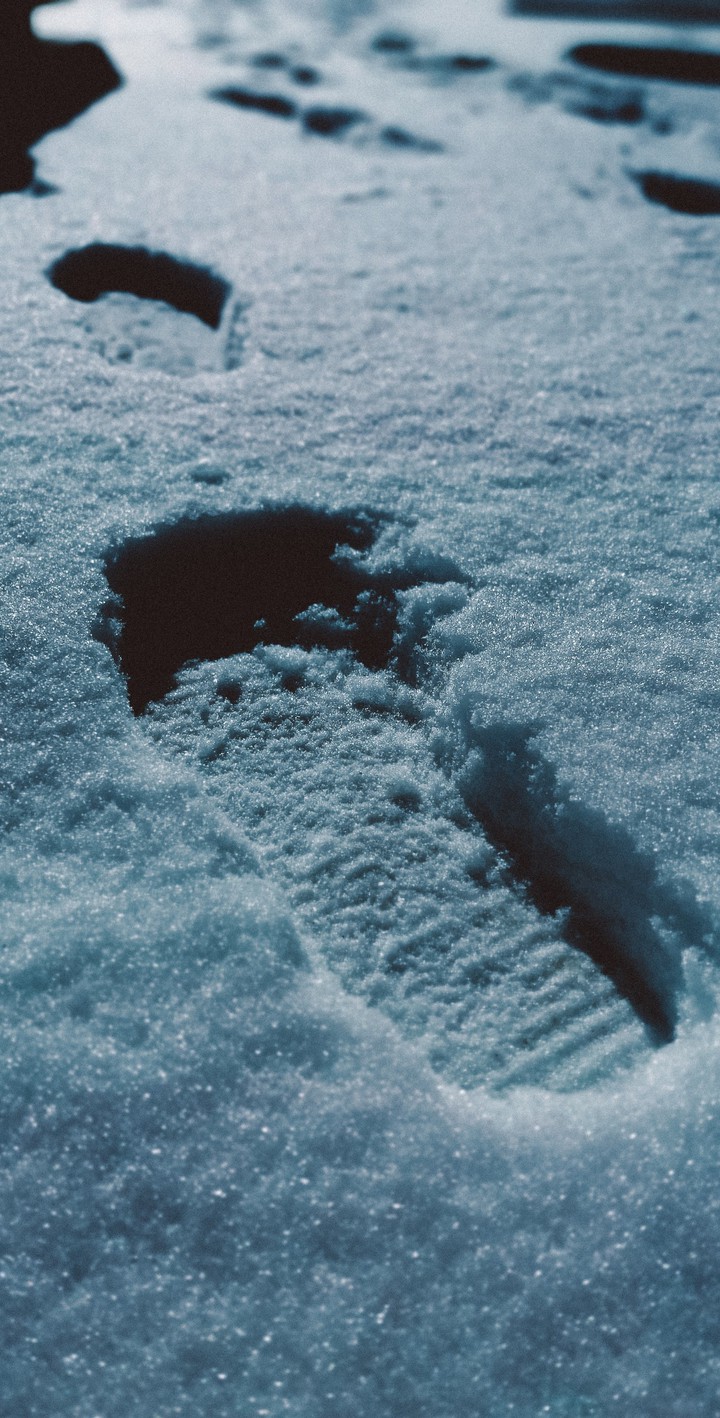 Bigfoot
