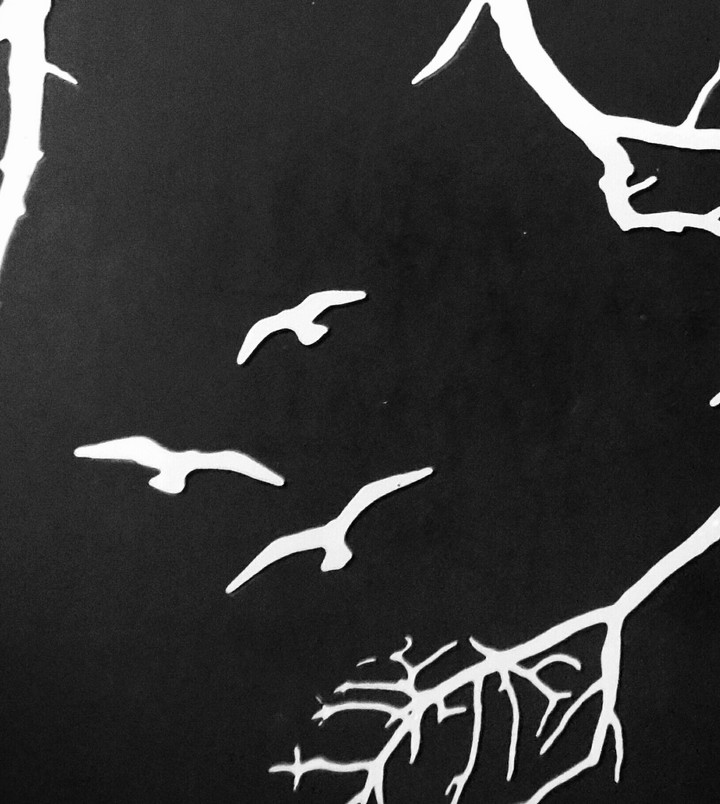 Flying Birds