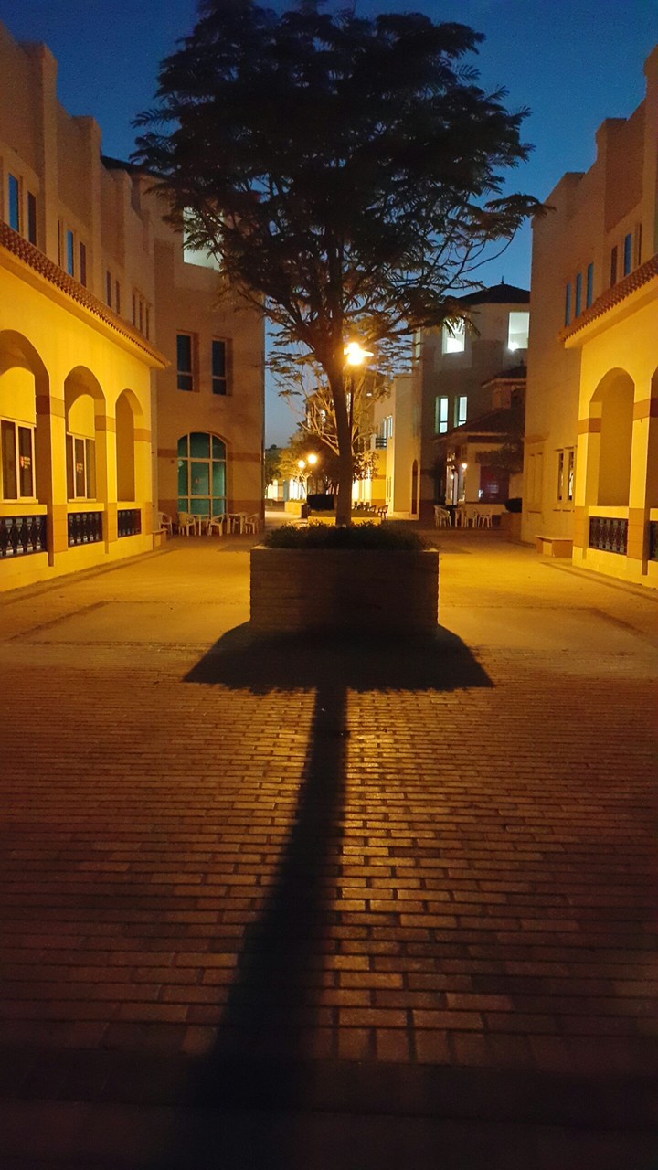 a warm night
