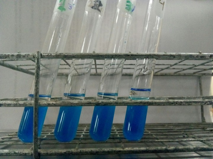 Laboratorio