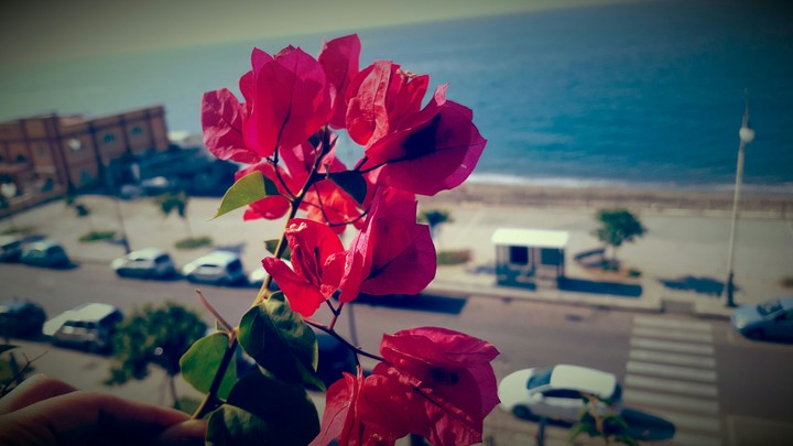 september's end