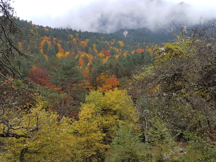Mount Olympus
